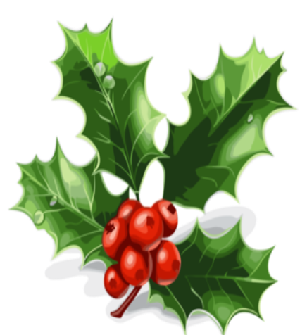 Holly PNG, Vector, PSD, and Clipart With Transparent Background for Free  Download | Pngtree
